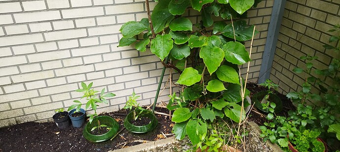Growreport Bild 10