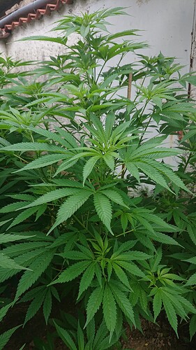 Growreport Bild 17