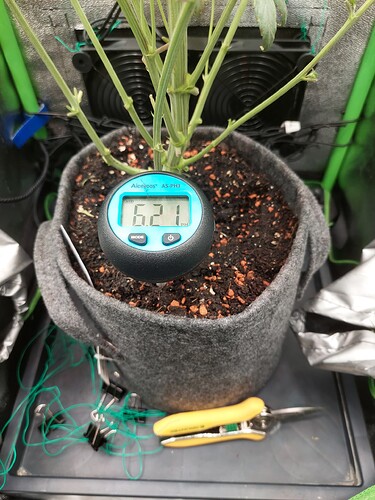 Growreport Bild 1