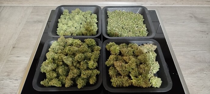 Growreport Bild 5