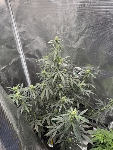 Growreport Bild 16