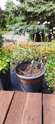 Growreport Bild 5