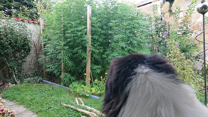 Growreport Bild 18
