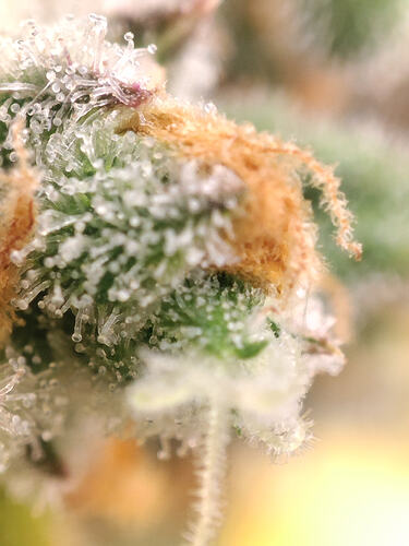 Growreport Bild 22