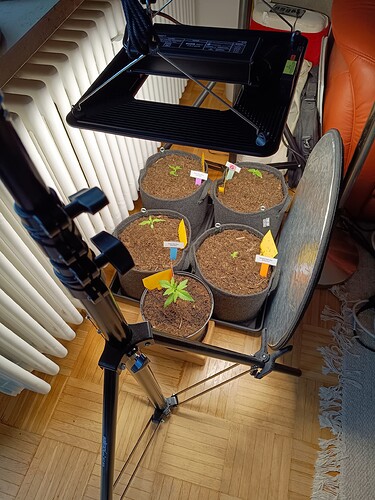 IMG_20240502_131453556