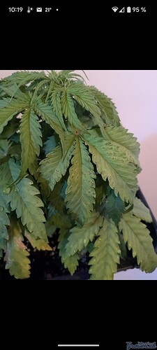 Screenshot_20240828-101935