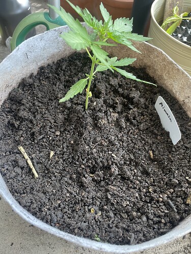 Growreport Bild 7