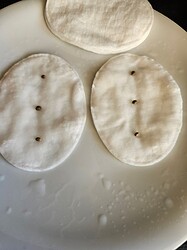Growreport Bild 1
