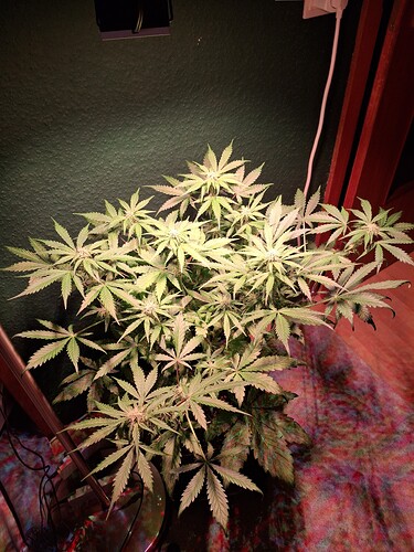 Growreport Bild 13