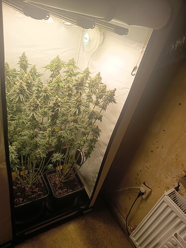 Growreport Bild 45