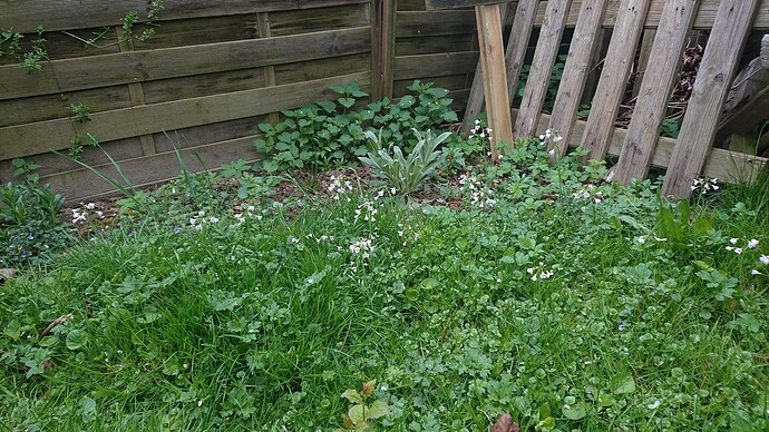 Growreport Bild 6