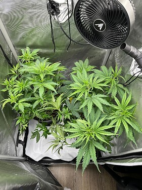 Growreport Bild 26