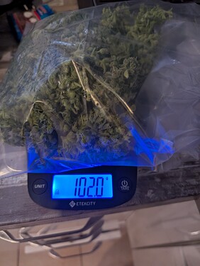 Growreport Bild 20