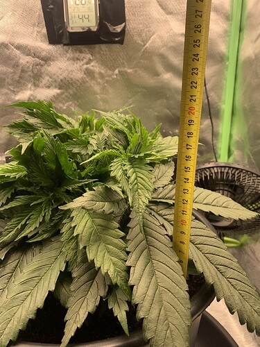 Growreport Bild 5