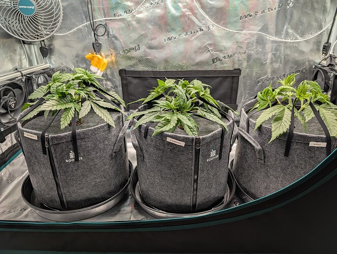 Growreport Bild 6