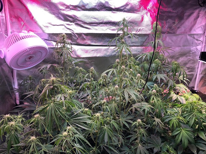 Growreport Bild 7