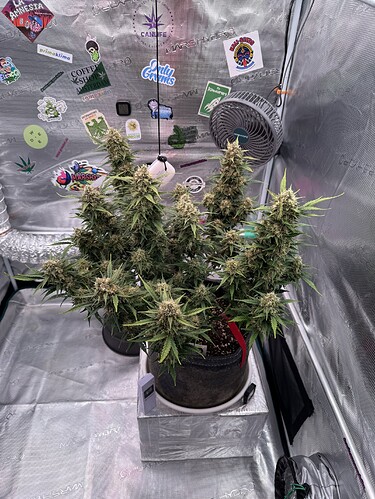 Growreport Bild 12