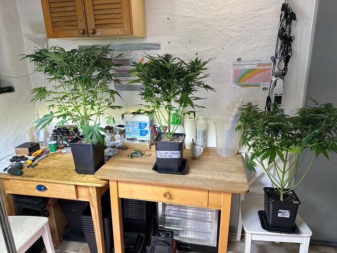Growreport Bild 26