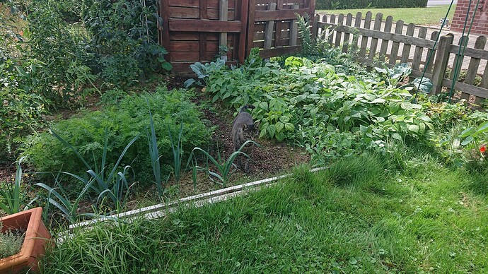 Growreport Bild 23