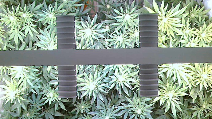 Growreport Bild 4