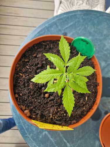 WhatsApp Image 2024-05-27 at 12.39.42 (2)