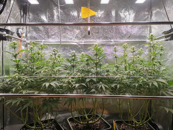 Growreport Bild 6