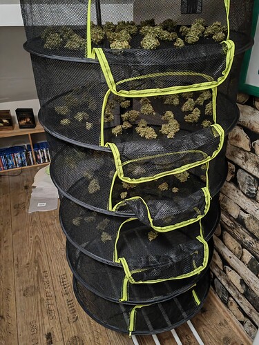 Growreport Bild 2