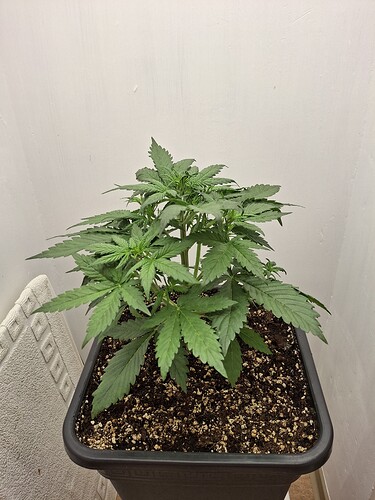 Growreport Bild 47