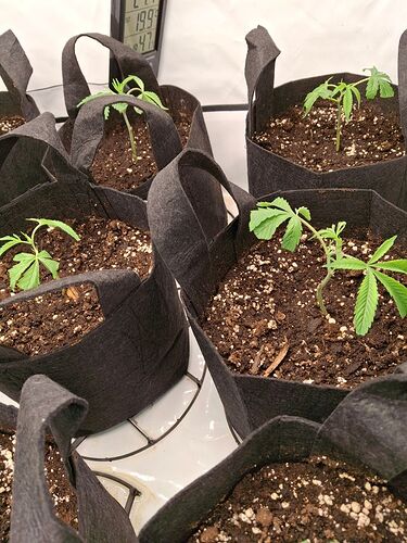 Growreport Bild 10