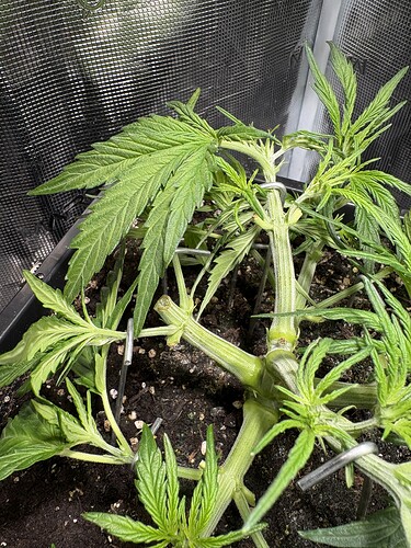 Growreport Bild 9