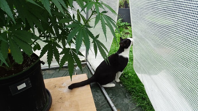 Growreport Bild 22