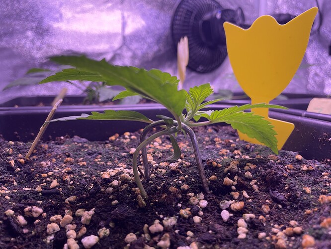 Growreport Bild 12