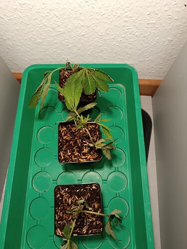 Growreport Bild 12