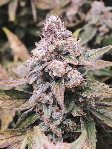 MVIMG_20251125_180542