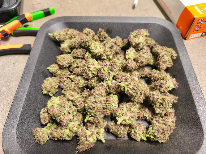 Growreport Bild 11