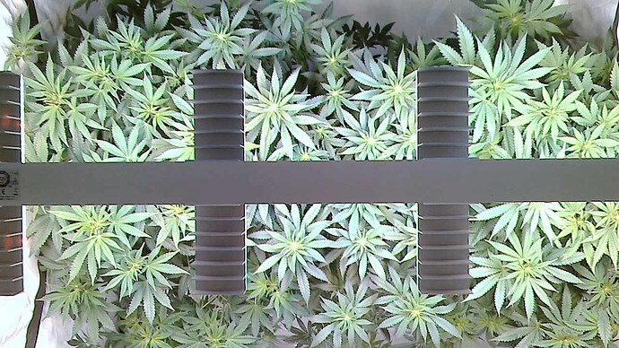 Growreport Bild 18