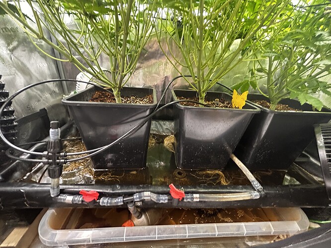Growreport Bild 24