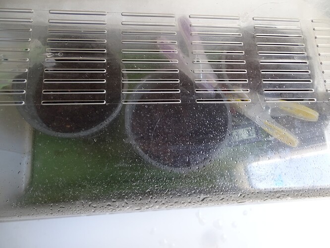 Growreport Bild 9