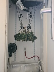 Growreport Bild 10