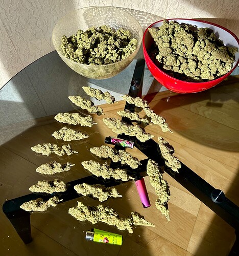 Growreport Bild 13