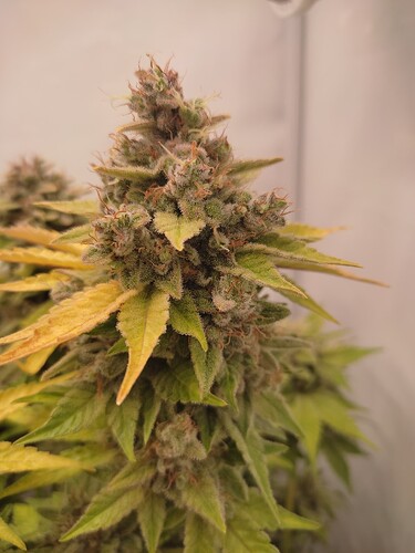 Growreport Bild 12