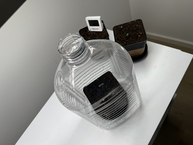 Growreport Bild 8