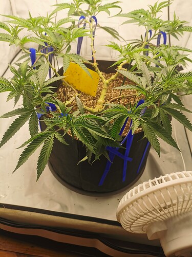 Growreport Bild 18
