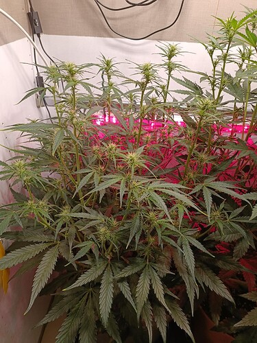 Growreport Bild 11