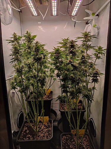 Growreport Bild 30
