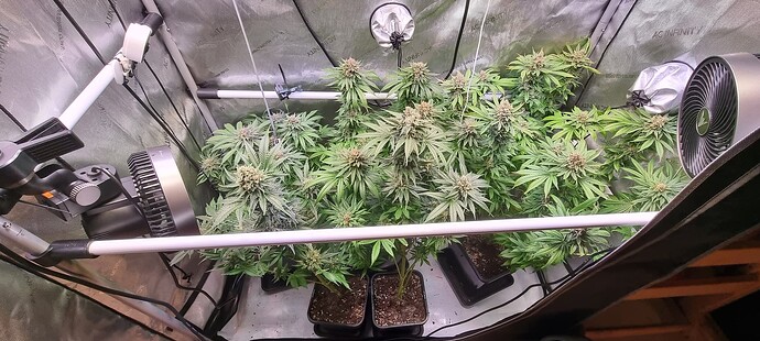 Growreport Bild 35
