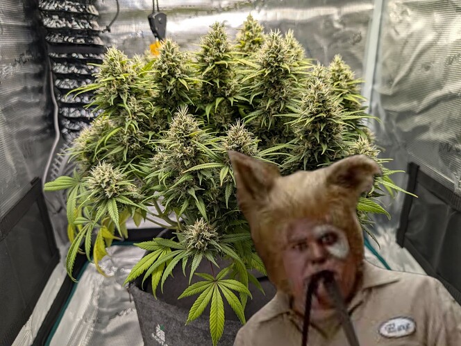 Growreport Bild 12