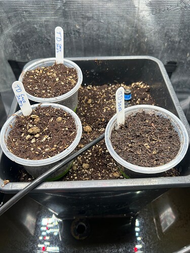 Growreport Bild 91