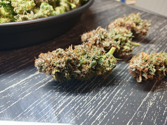 Growreport Bild 11