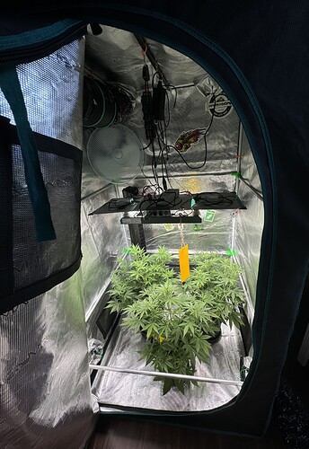 Growreport Bild 24
